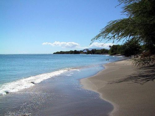Maui Suncoast Maui Vista Apart otel Kihei Konforlar fotoğraf